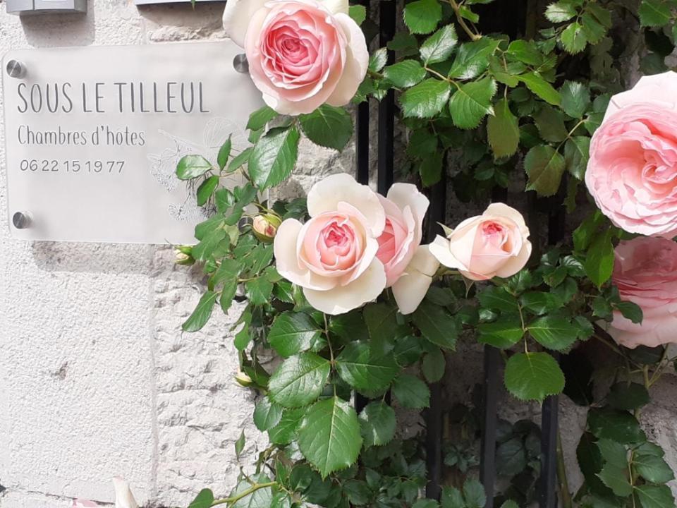 Sous Le Tilleul A Ruoms Exterior foto