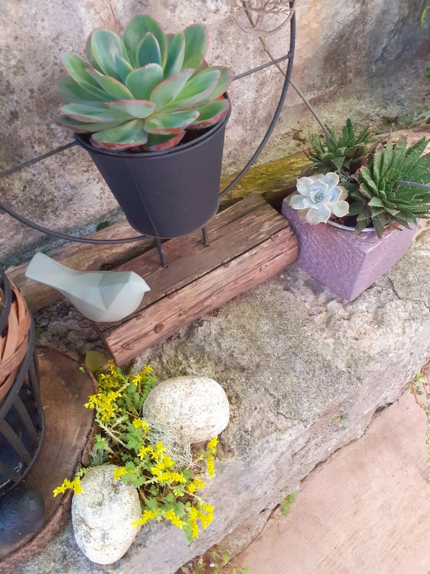 Sous Le Tilleul A Ruoms Exterior foto